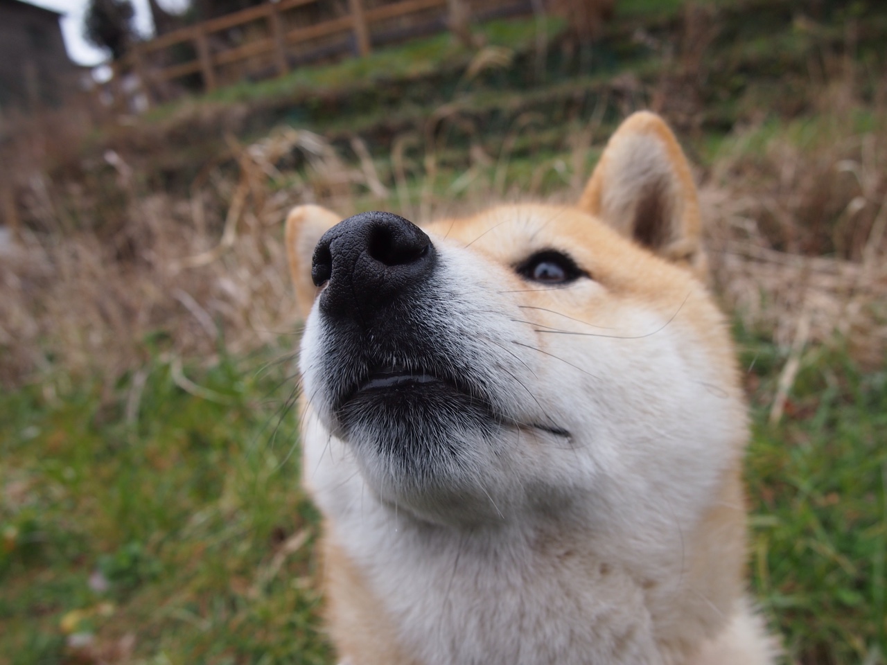 爱游戏登录入口-维克托·文班亚马成为NBA社交媒体关注焦点，维克多 温班亚马