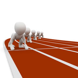 爱游戏娱乐-中小学体育健康教育课程内容优化研究，中小学体育健康教育课程内容优化研究心得体会