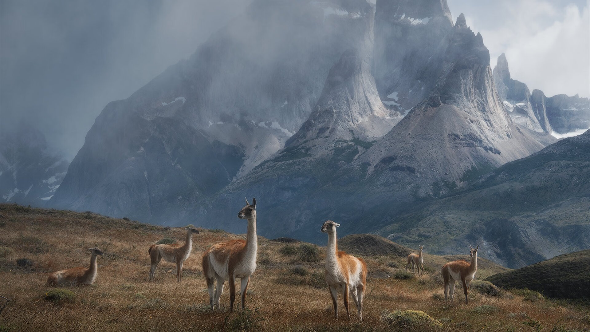 体能与技术动作效率数据关系，体能与运动技能的关系