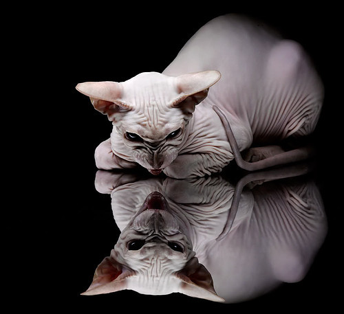 多角度回顾经典对决还原最真实比赛细节,经典vs