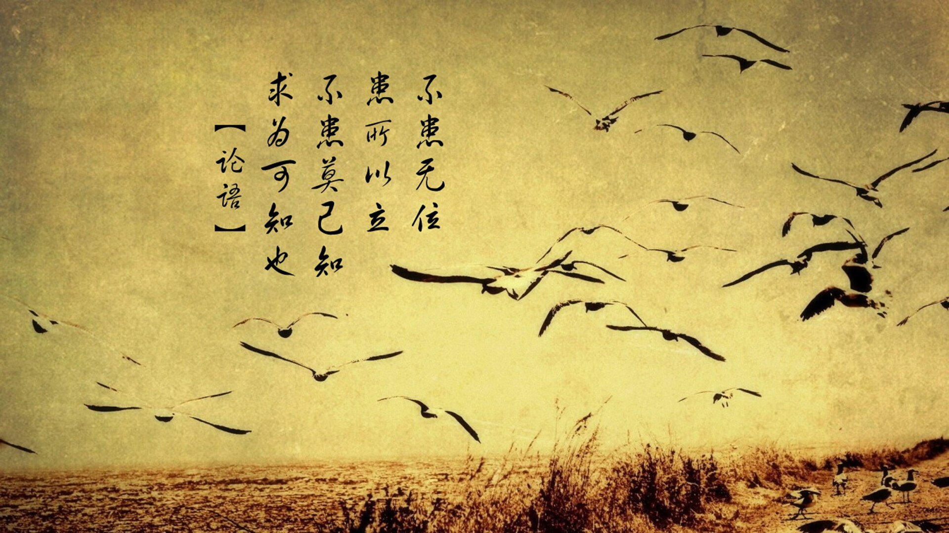 爱游戏娱乐-英超逆转王：逆境中胜出，传说由此诞生！，英超中最善于逆转的球队