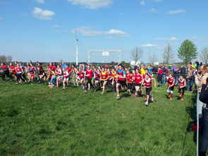 爱游戏官网-青少年选拔机制改革更加公开透明吸引更多优秀苗子参与，青少年选拔赛比赛结果